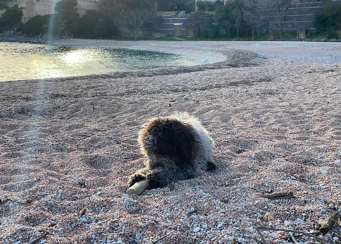 Casa M&m Appartement