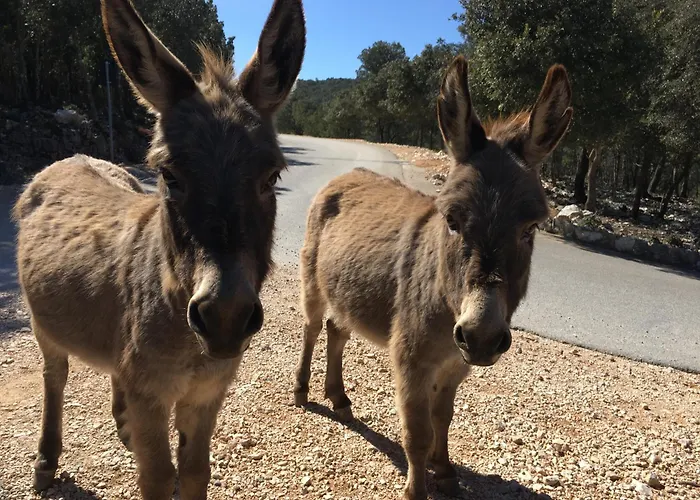 Appartement Casa M&m *