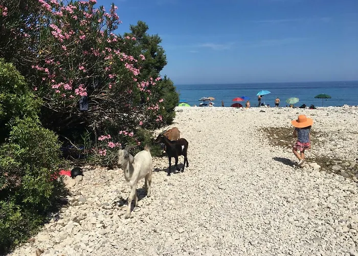 Daire Casa M&m Cala Gonone