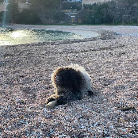 Casa M&m Διαμέρισμα