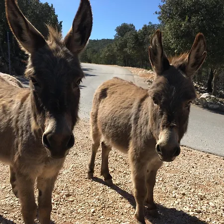 Διαμέρισμα Casa M&m *