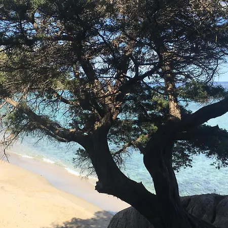 Апартаменты Casa M&m *