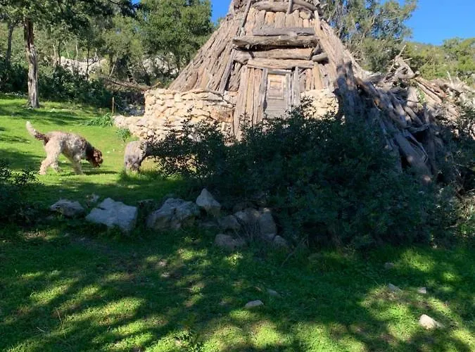 Apartament Casa M&m *